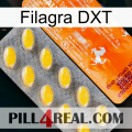 Filagra DXT new05